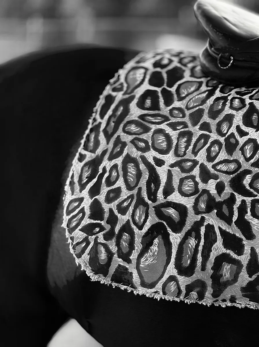 Keep It Classic in Black and Tan - leopard print wallpaper idea