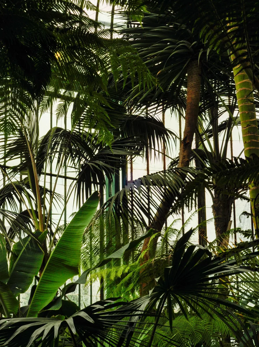 Pair Safari With Linen Textiles - safari wallpaper wallpaper idea
