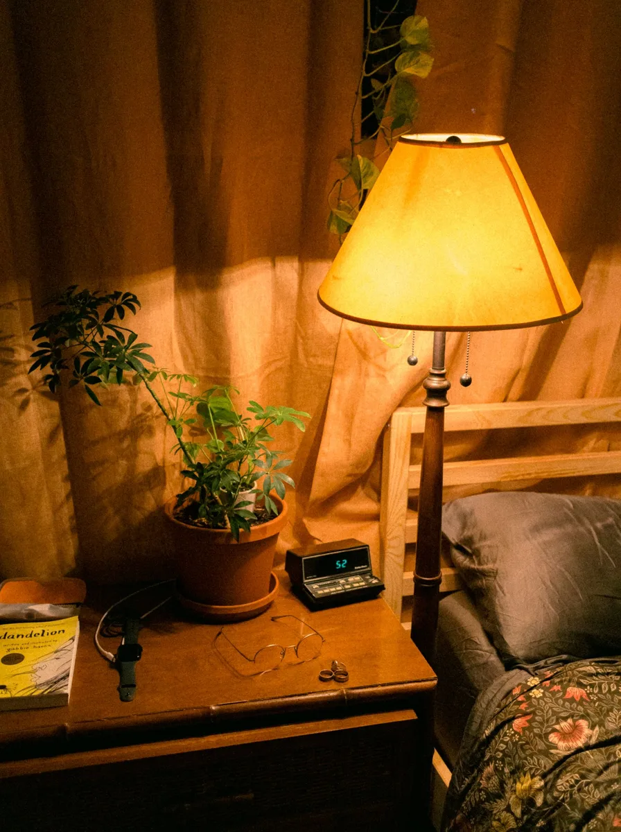 Bedside lamp with plant in dark room