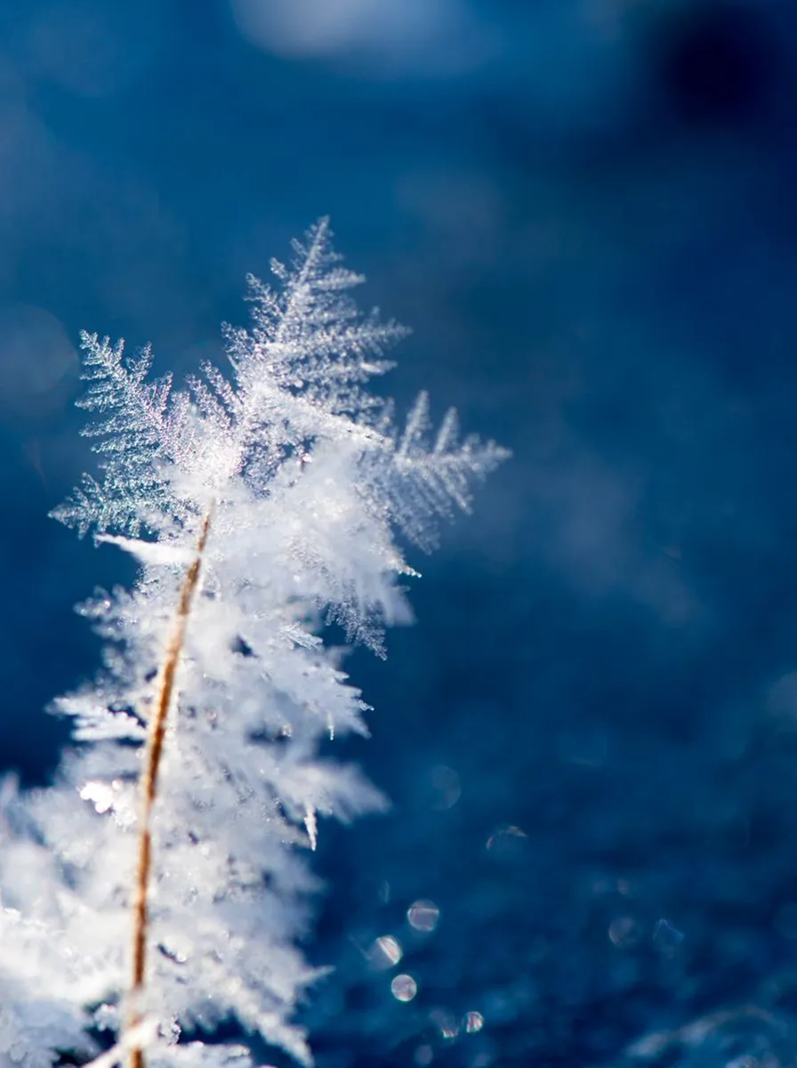Window Seat Snow View December wallpaper