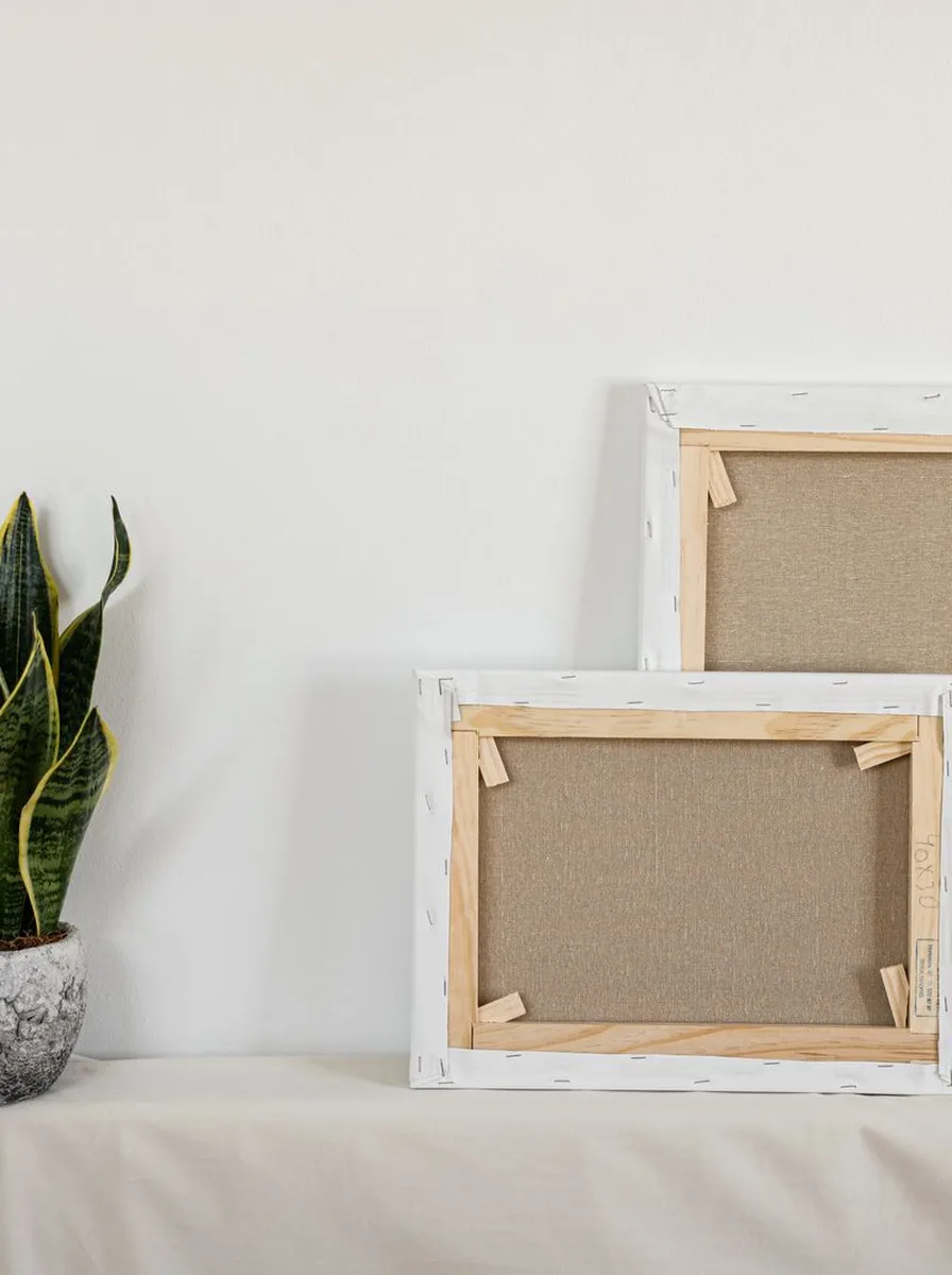 Unframed blank canvases leaning on a console table beside a snake plant