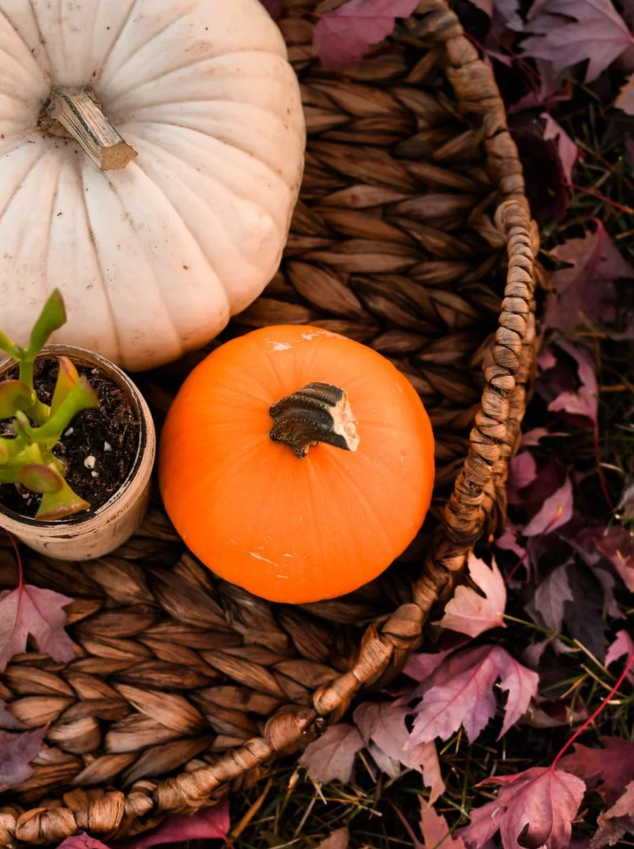 Pumpkin Planter Doorstep Halloween door decoration