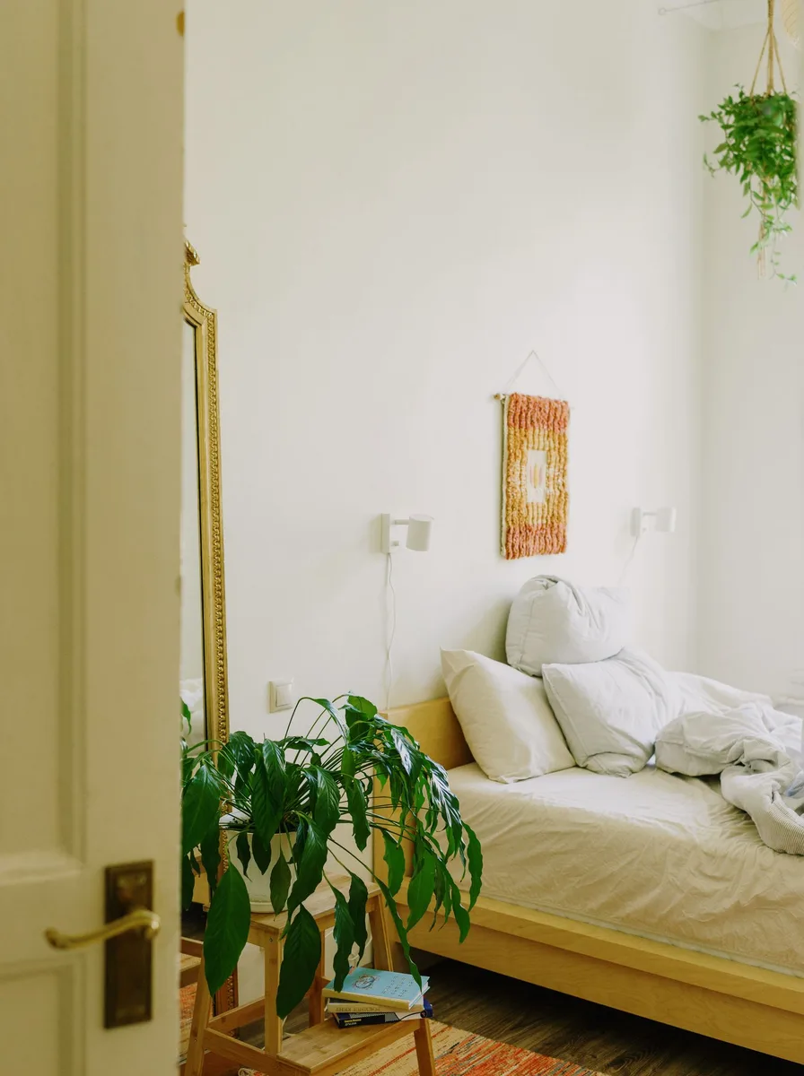 Sunny bedroom with plants
