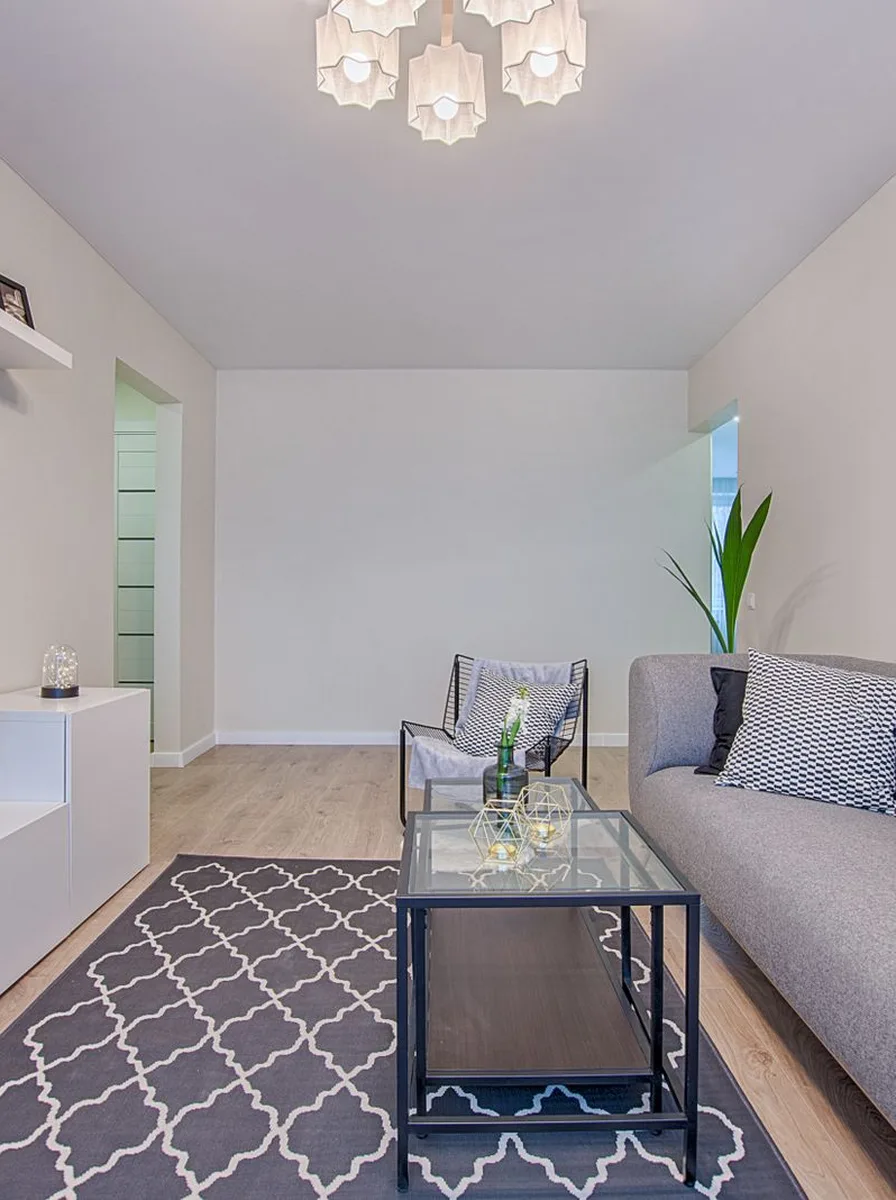 Elegant living room anchored by a large plush area rug under the seating