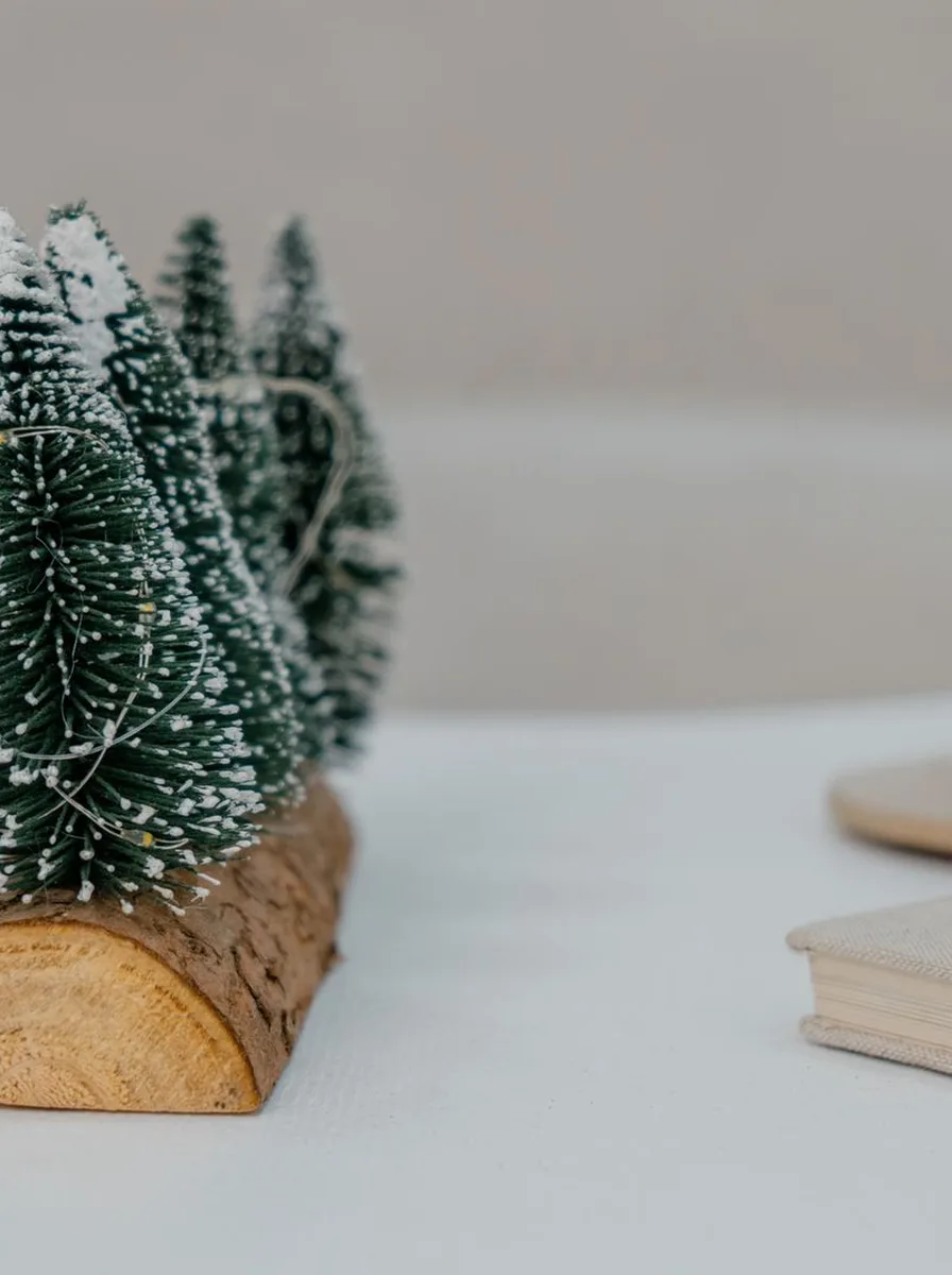 Miniature frosted trees on a wooden base