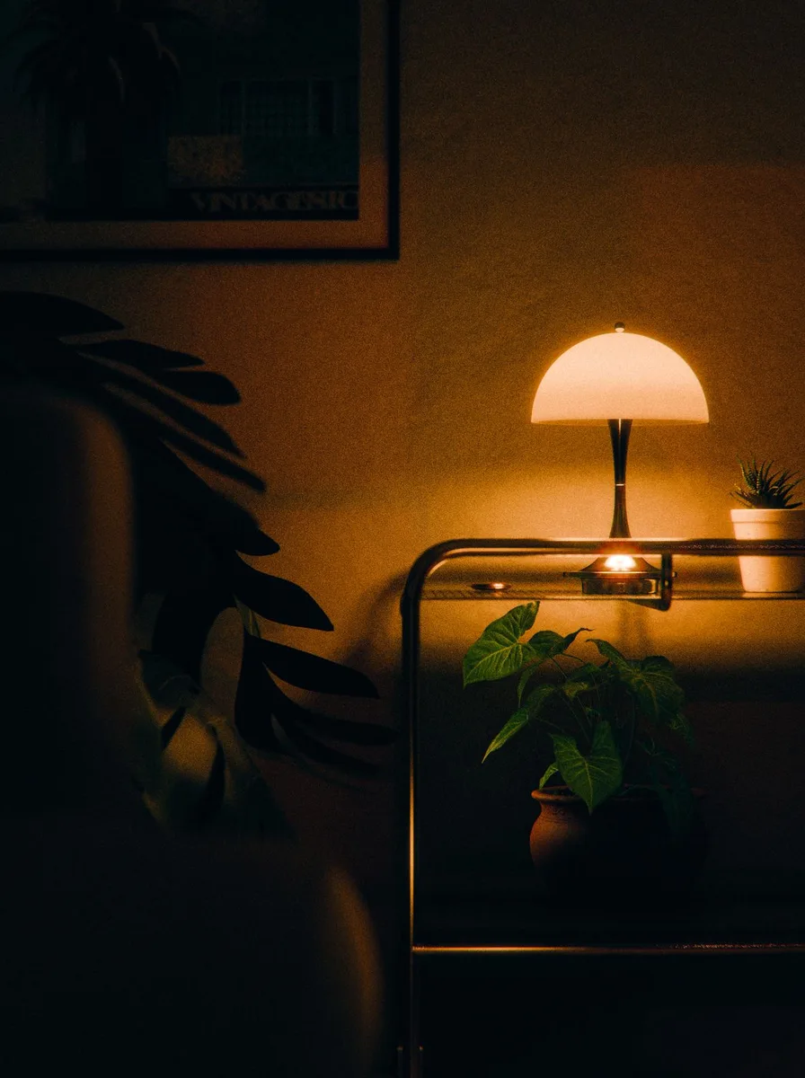 Lamp on a shelf casting warm light