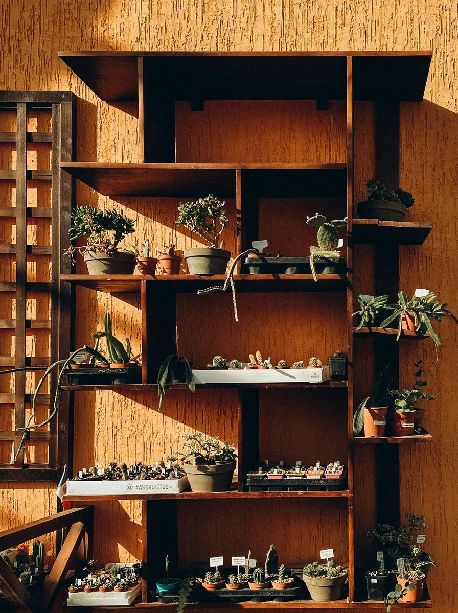Wooden shelf styled with potted plants