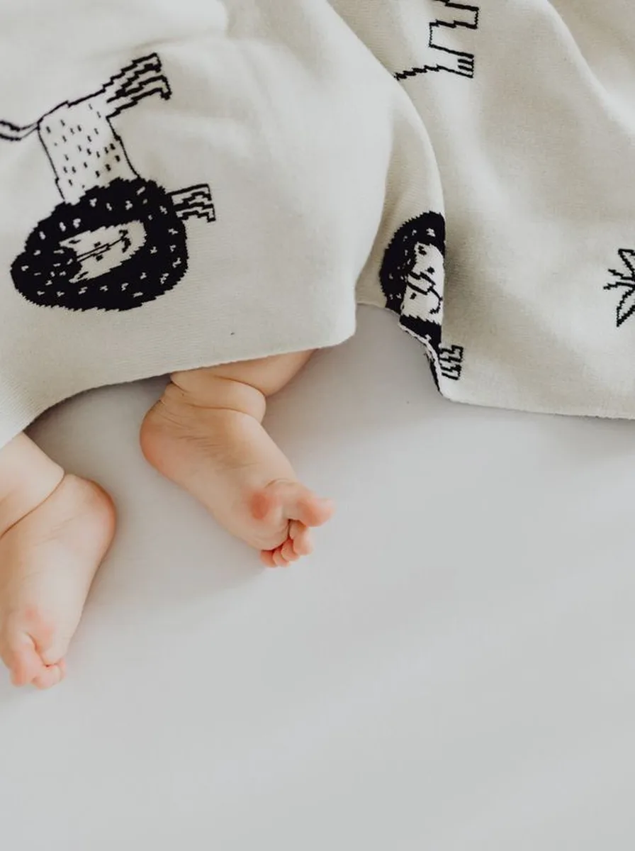Baby feet with a lion print blanket