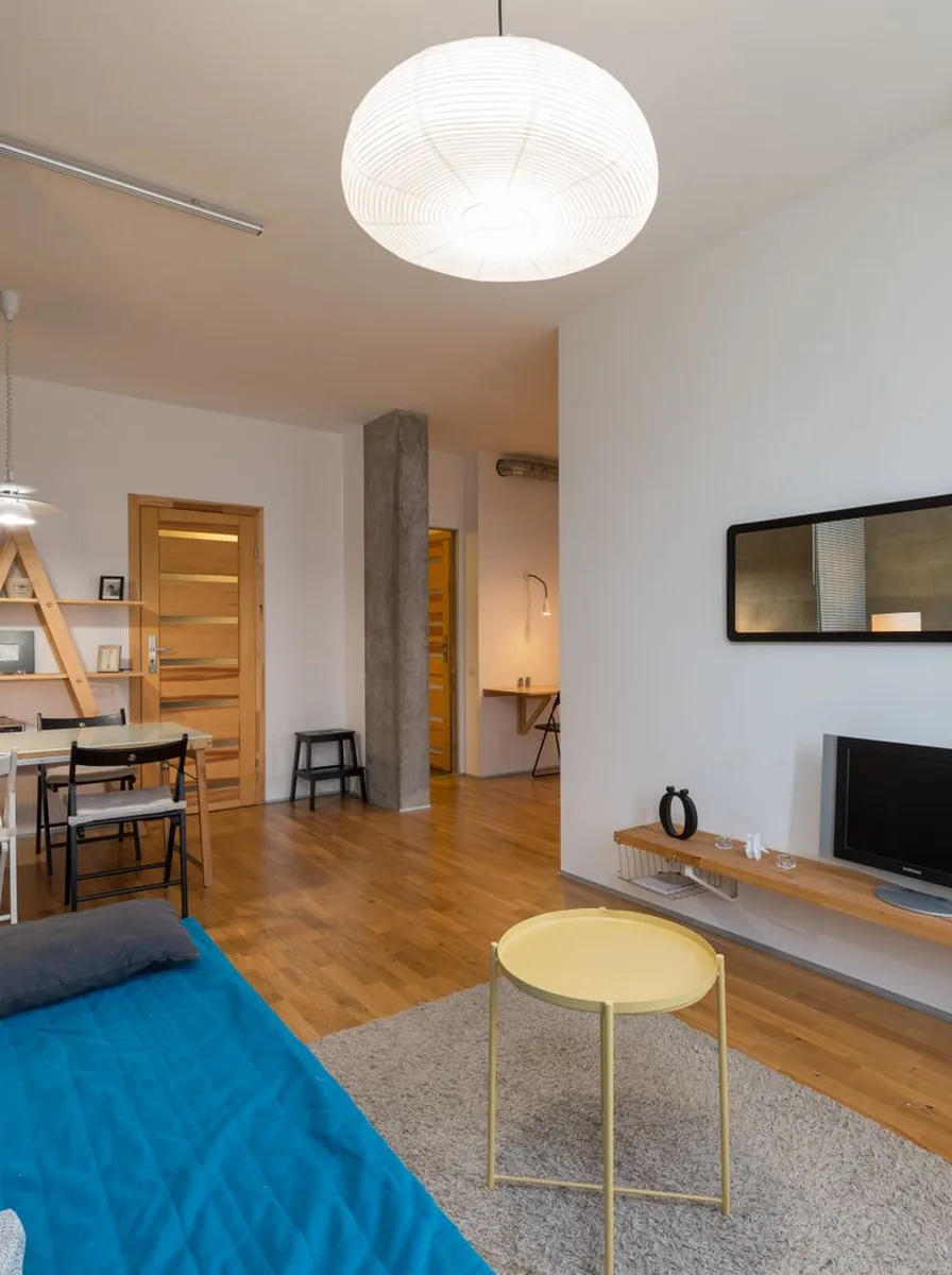 Low open bookshelf dividing studio sleeping and living zones