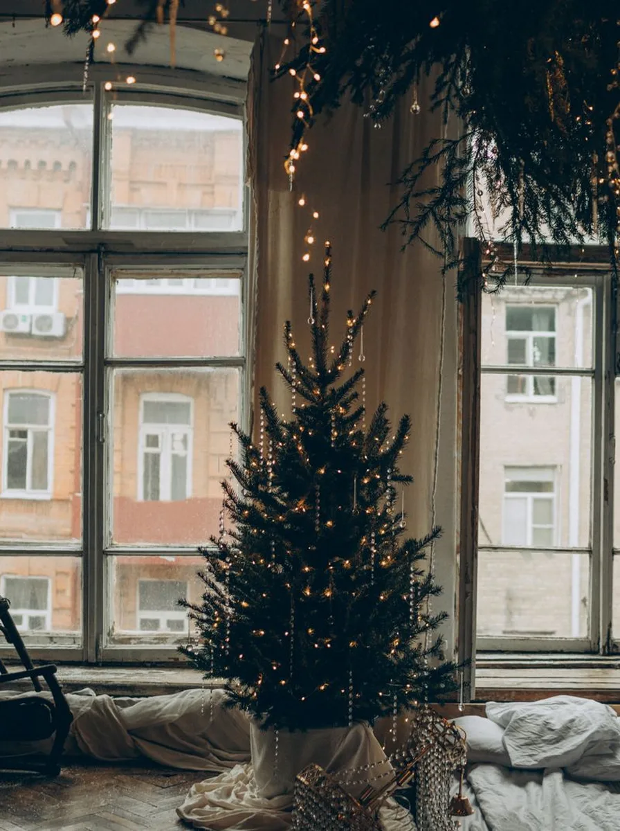 Small Christmas tree by tall windows with fairy lights