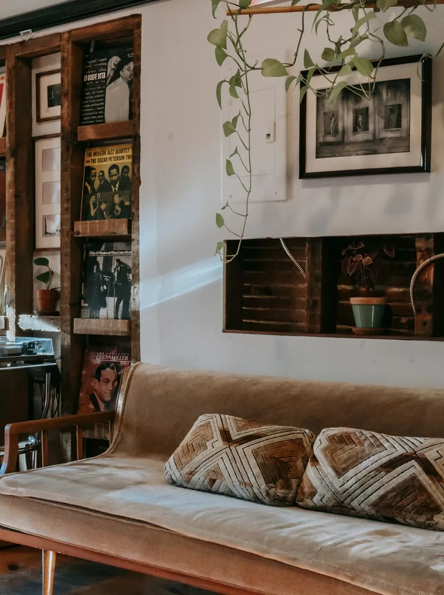 Cozy wall with a single framed picture, trailing plant and wooden record shelf above a sofa